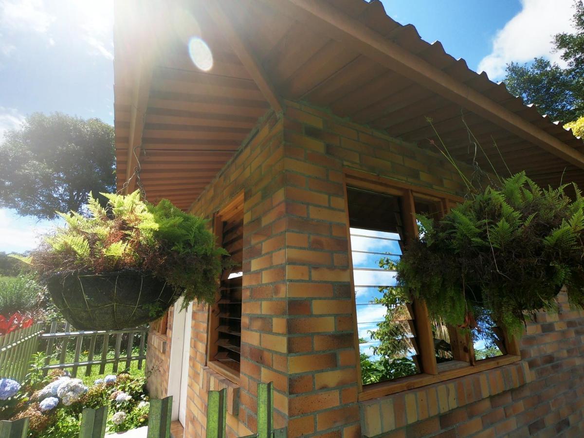 Tribu Ecohostal Los Santos  Exterior photo