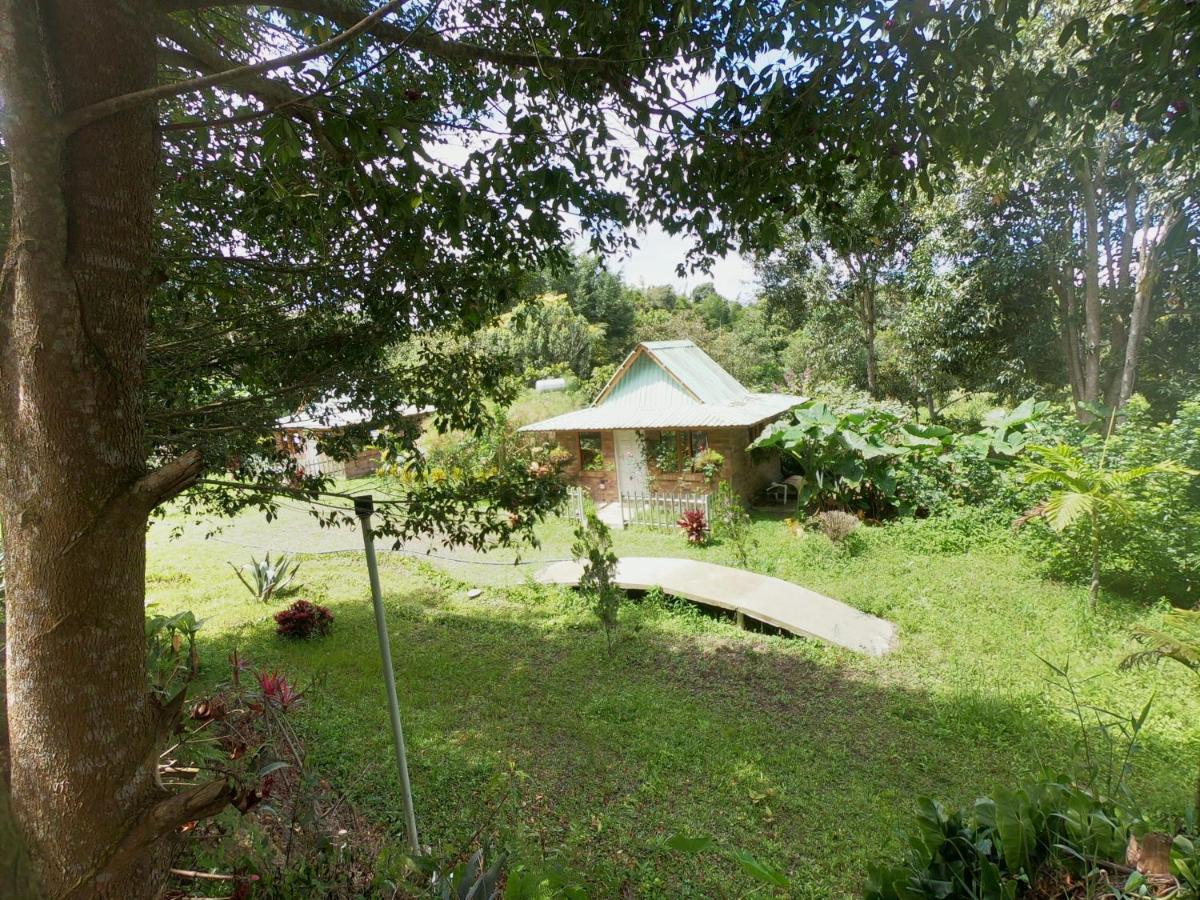 Tribu Ecohostal Los Santos  Exterior photo
