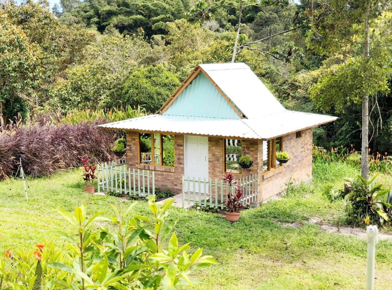 Tribu Ecohostal Los Santos  Exterior photo