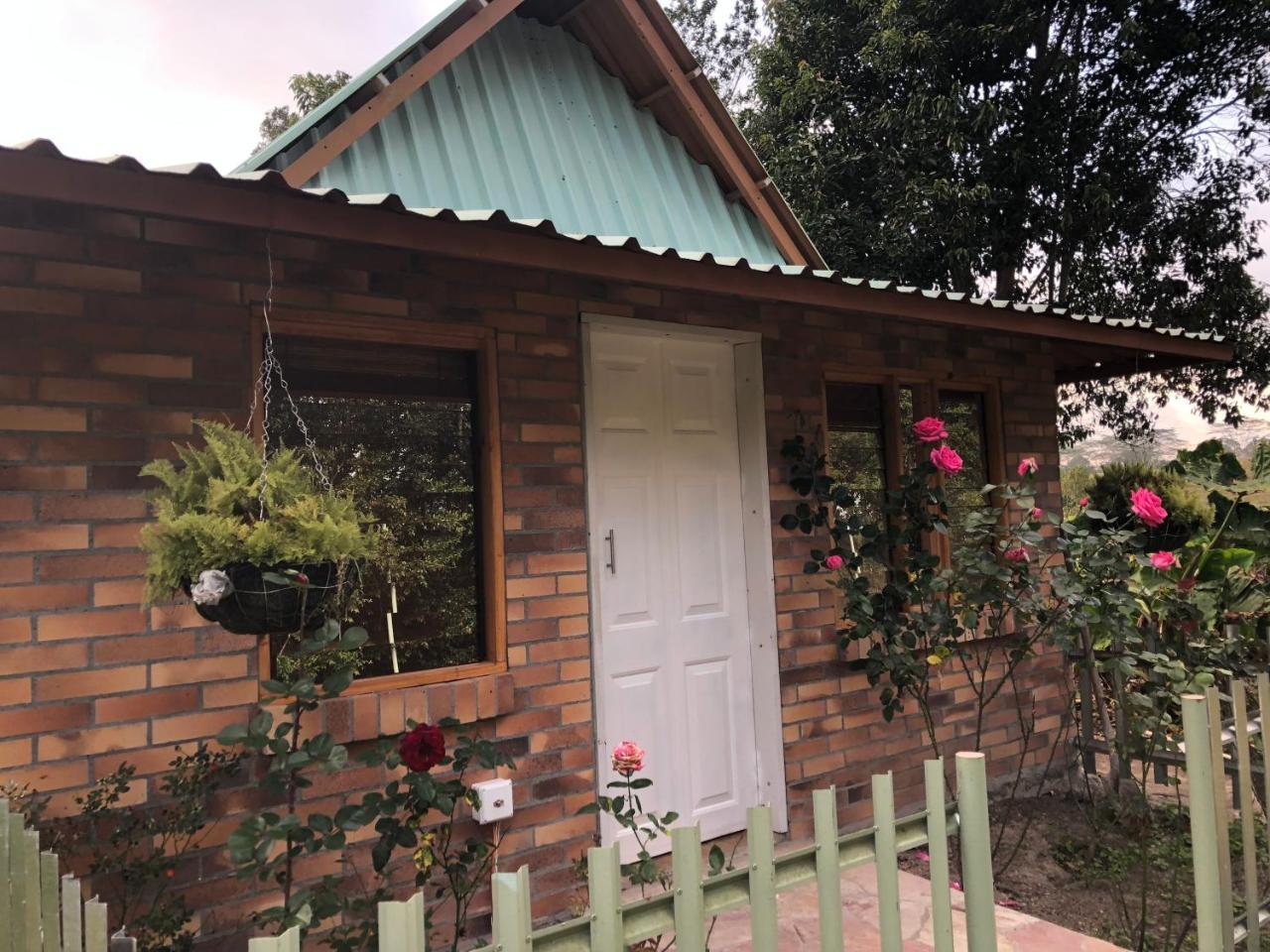 Tribu Ecohostal Los Santos  Exterior photo